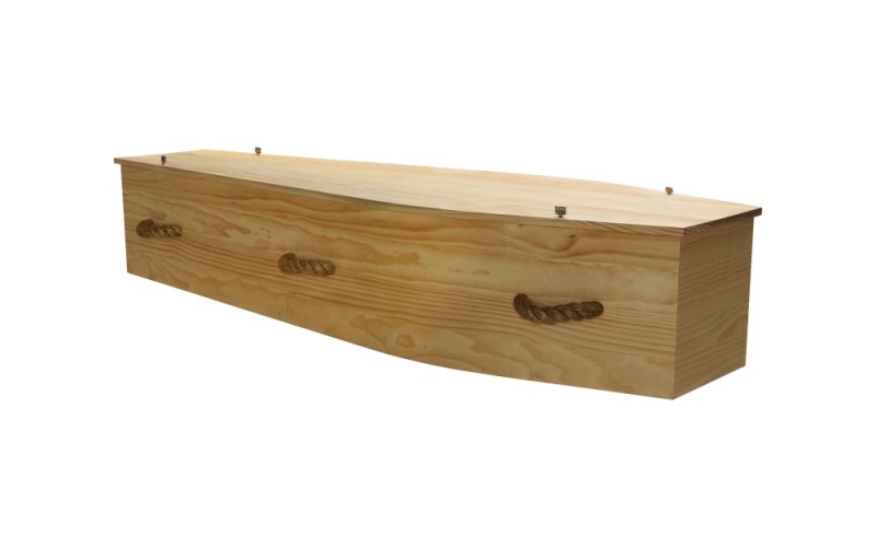 Tasman Pine